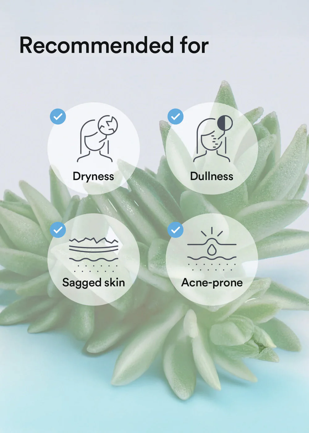 Abib Collagen Gel Mask Sedum Jelly - Image 5