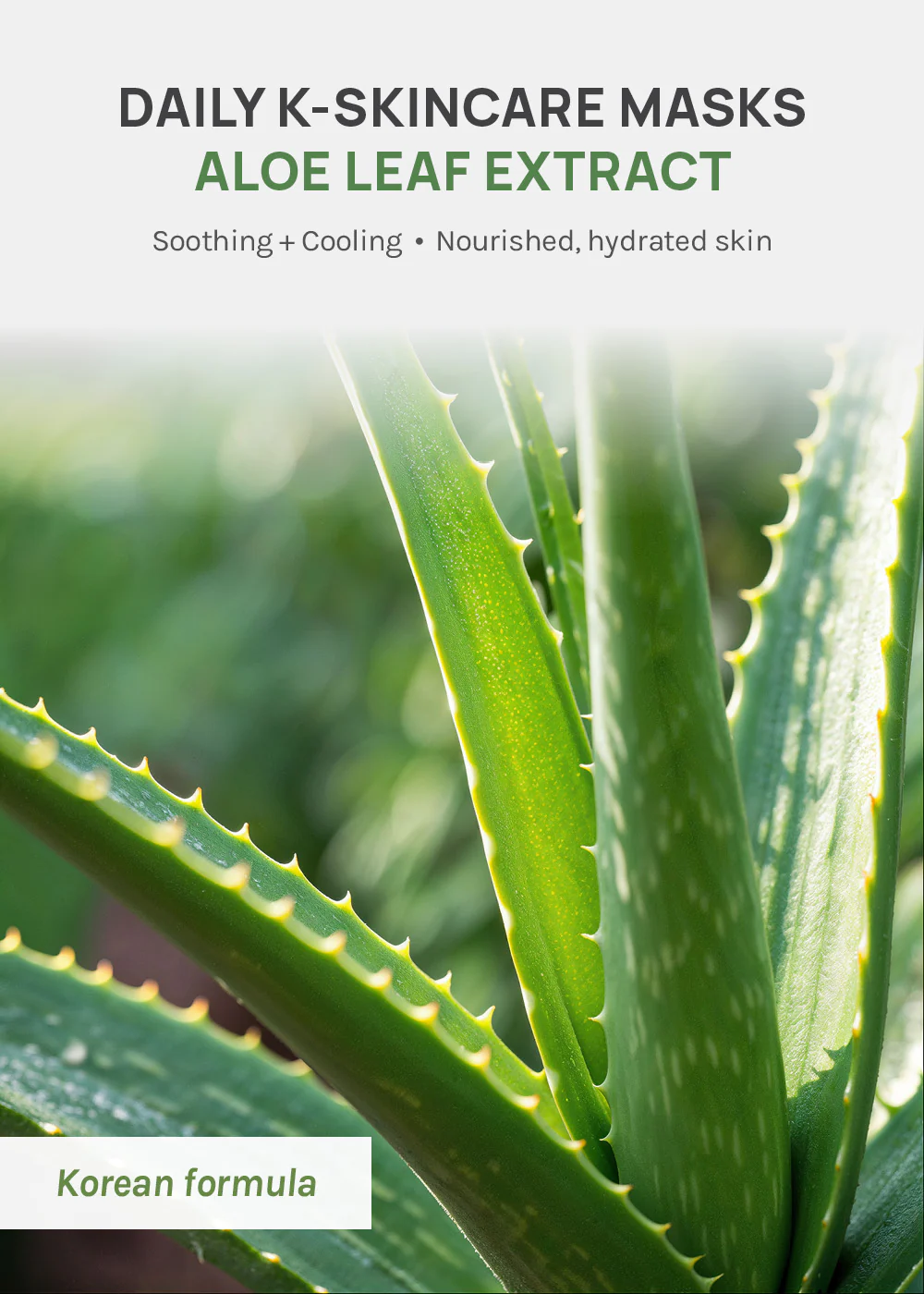 AOA Skin Aloe Daily Care Sheet Mask - Image 2