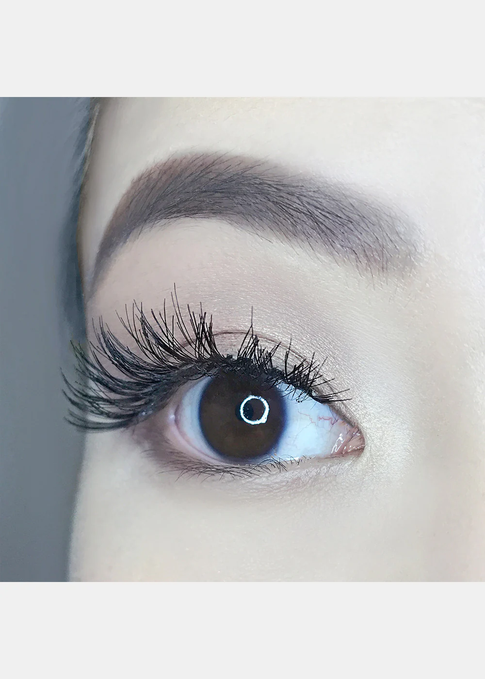AOA Studio Eyelashes - Alexis - Image 5