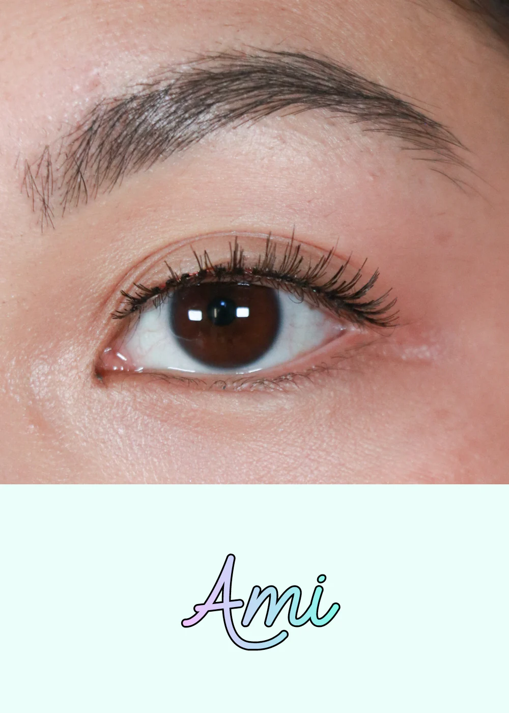 AOA Studio Eyelashes - Ami - Image 2