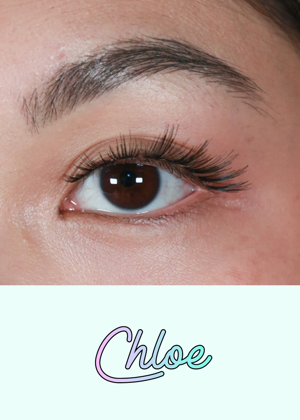 AOA Studio Eyelashes - Chloe - Image 2