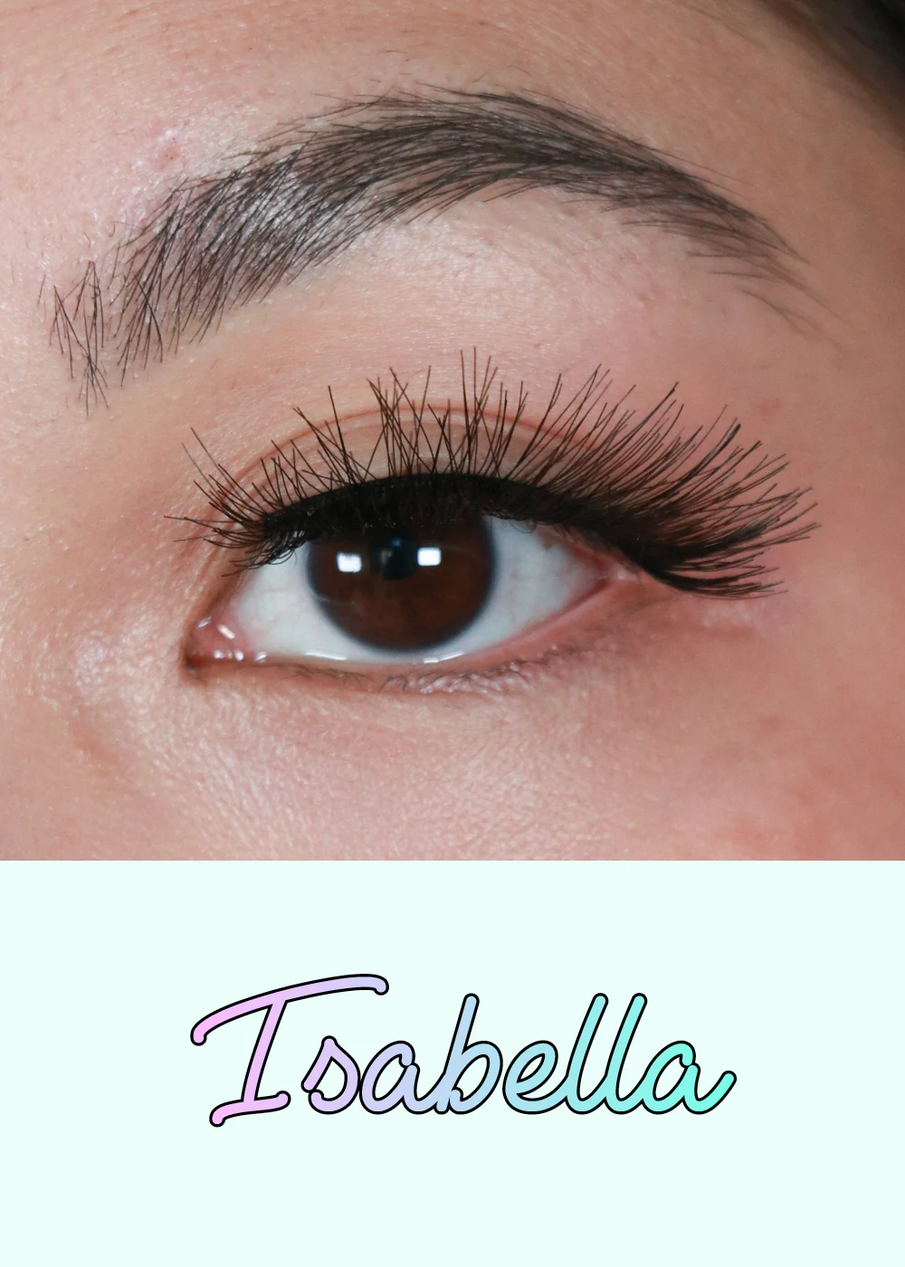 AOA Studio Eyelashes - Isabella - Image 2