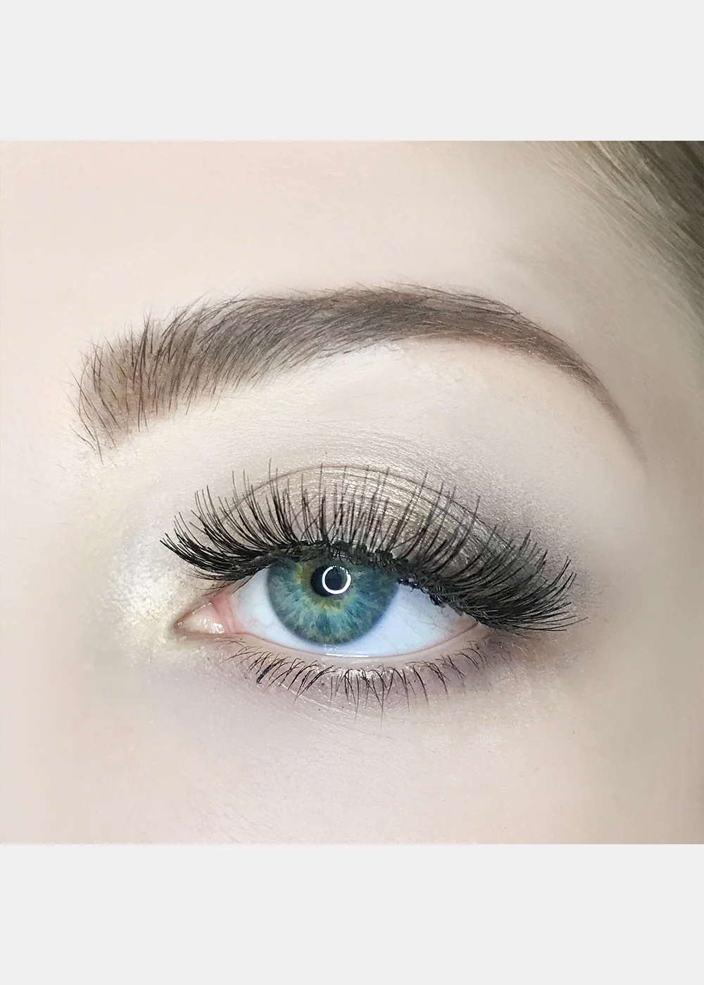 AOA Studio Eyelashes - Luella 6-Pack - Image 9