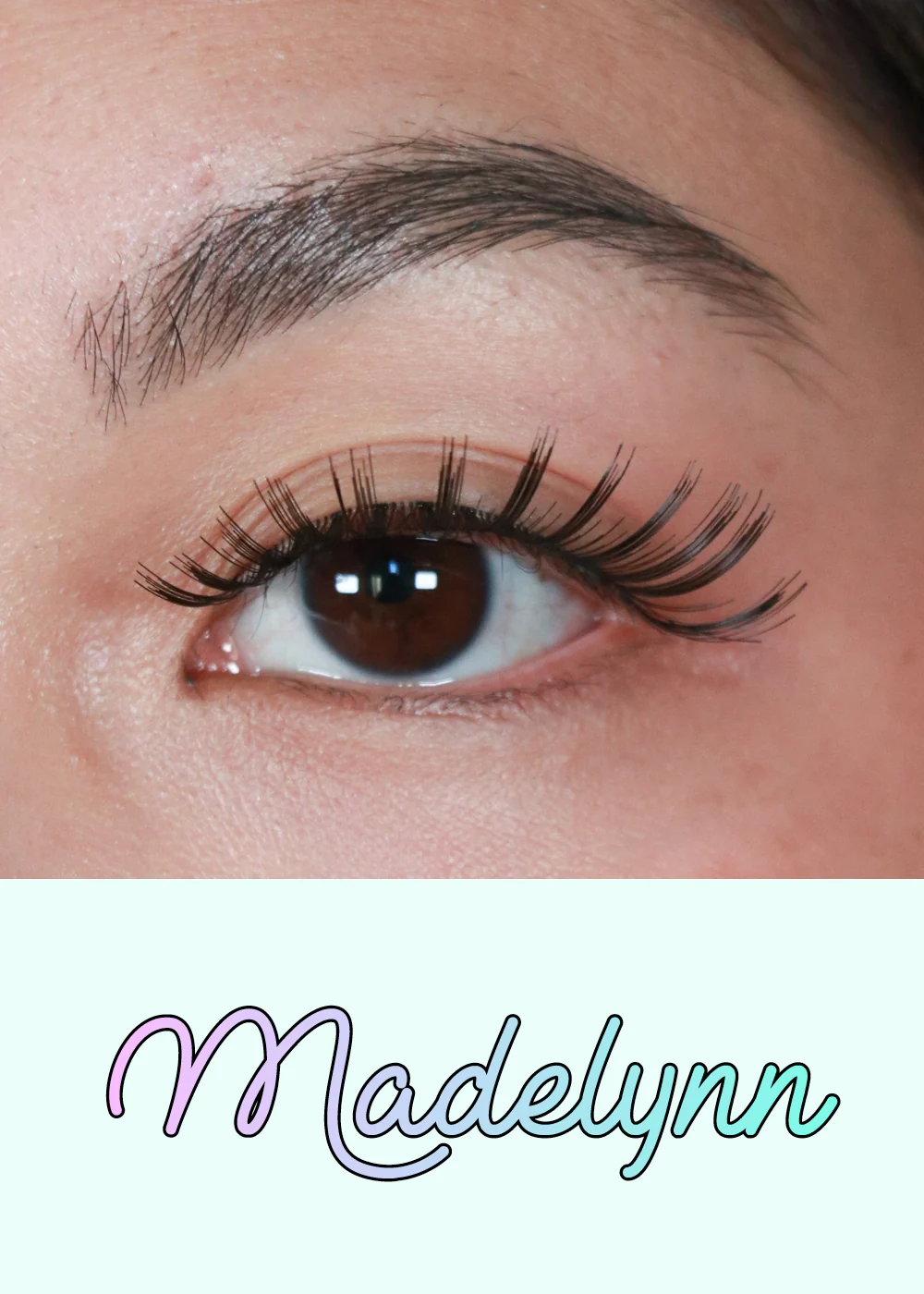 AOA Studio Eyelashes - Madelynn - Image 2