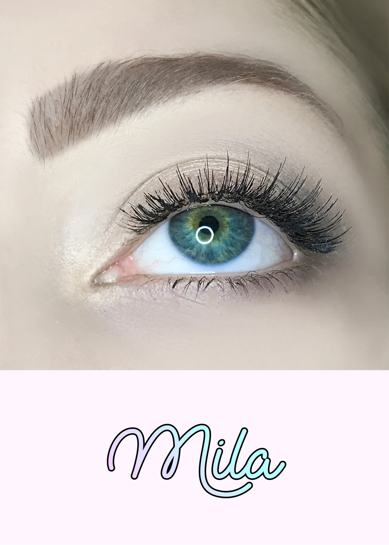 AOA Studio Eyelashes - Mila - Image 2