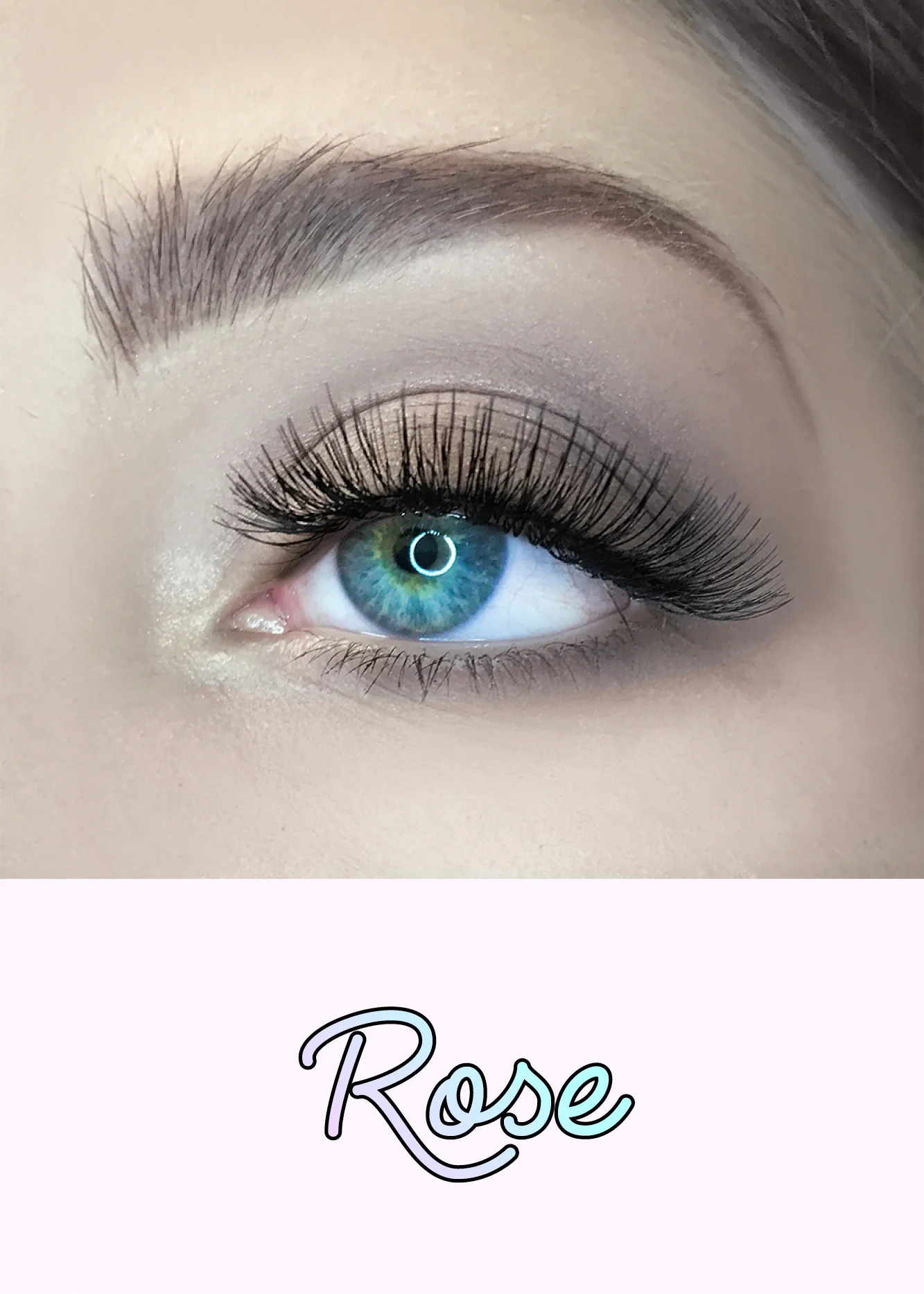 AOA Studio Eyelashes - Rose - Image 2