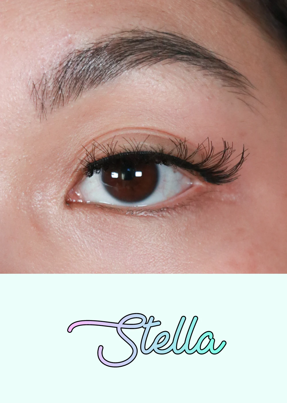AOA Studio Eyelashes - Stella - Image 2