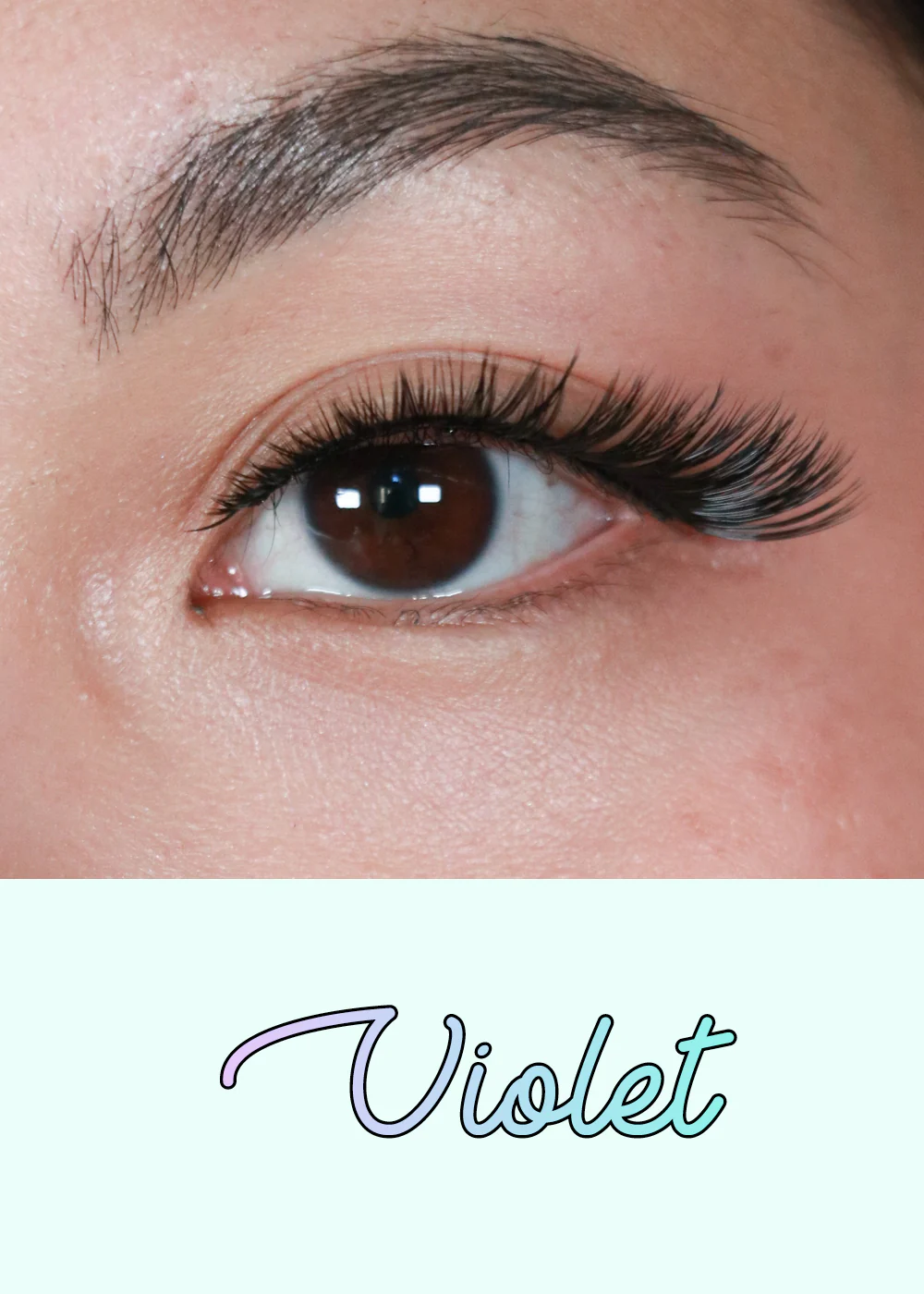 AOA Studio Eyelashes - Violet - Image 2