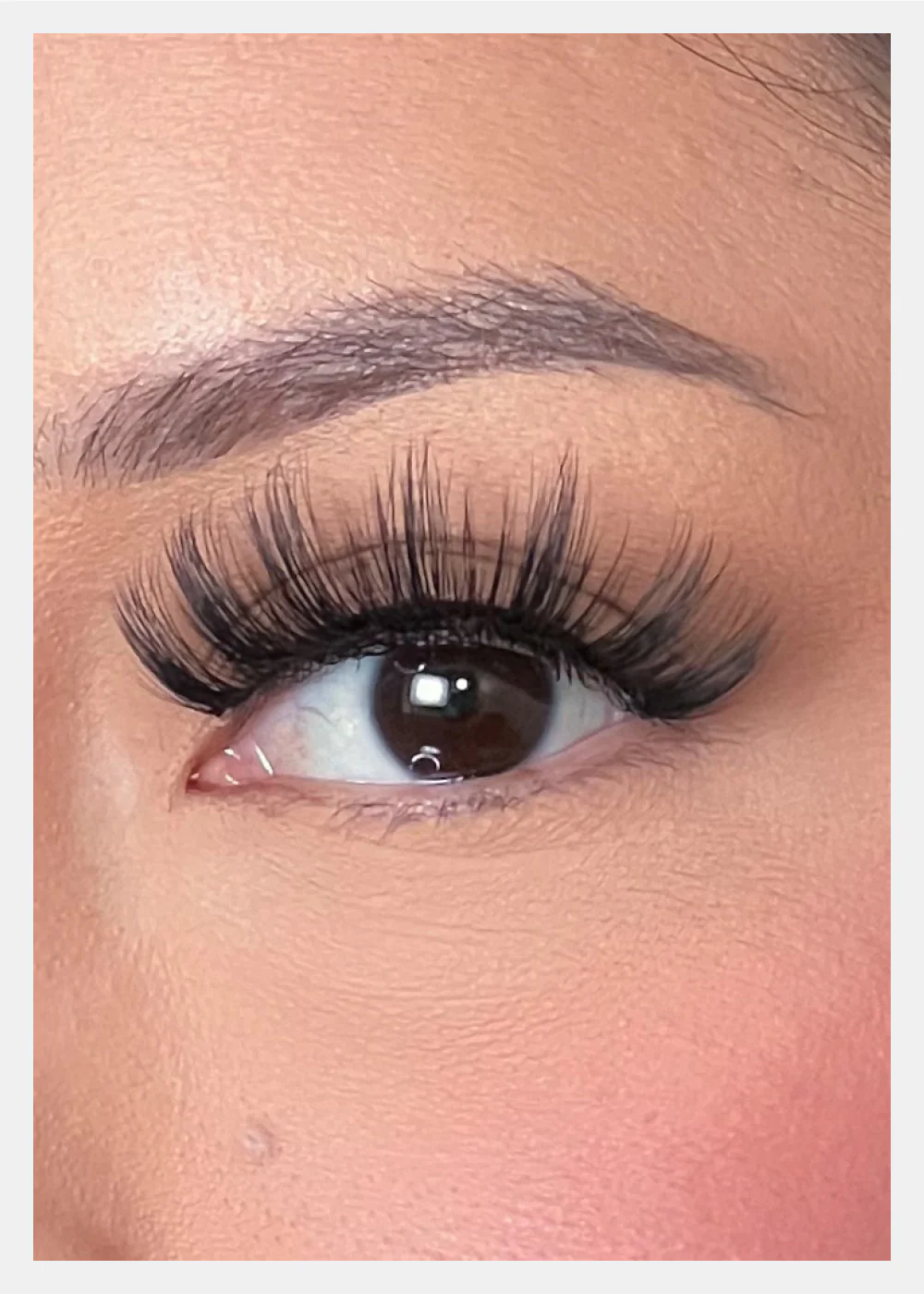D-LUX Curl Premium Faux Mink Lashes - Dolores - Image 2