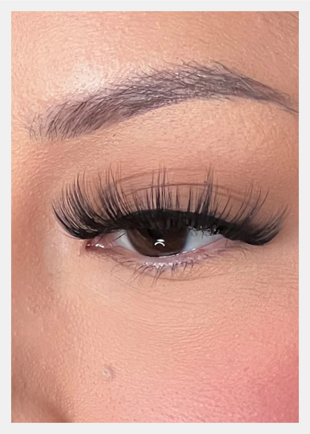 D-LUX Curl Premium Faux Mink Lashes - Dolores - Image 3