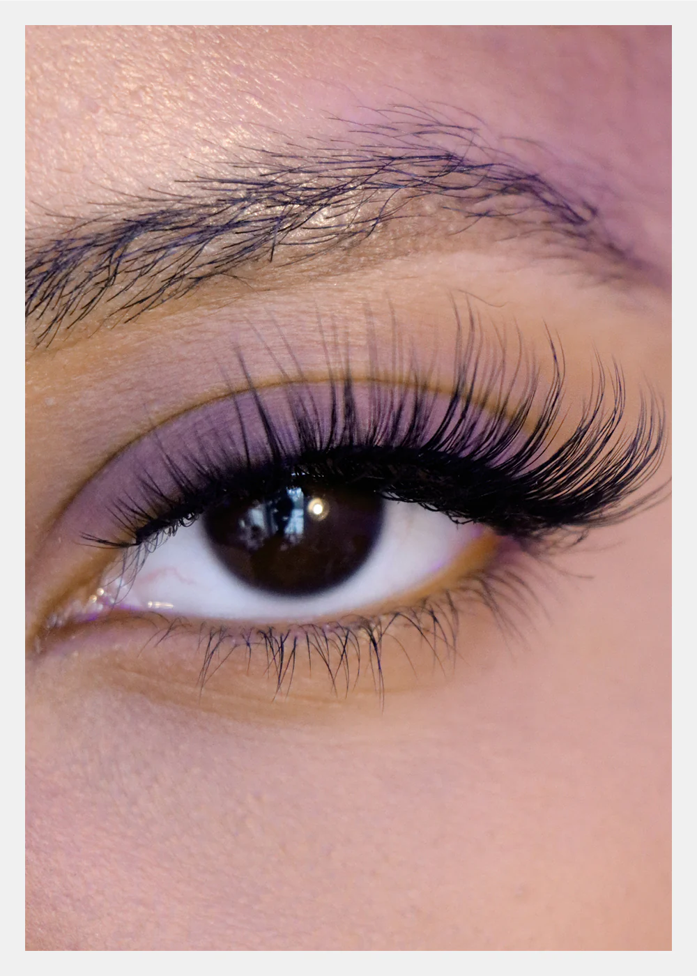 D-LUX Curl Premium Faux Mink Lashes - Josephine - Image 2