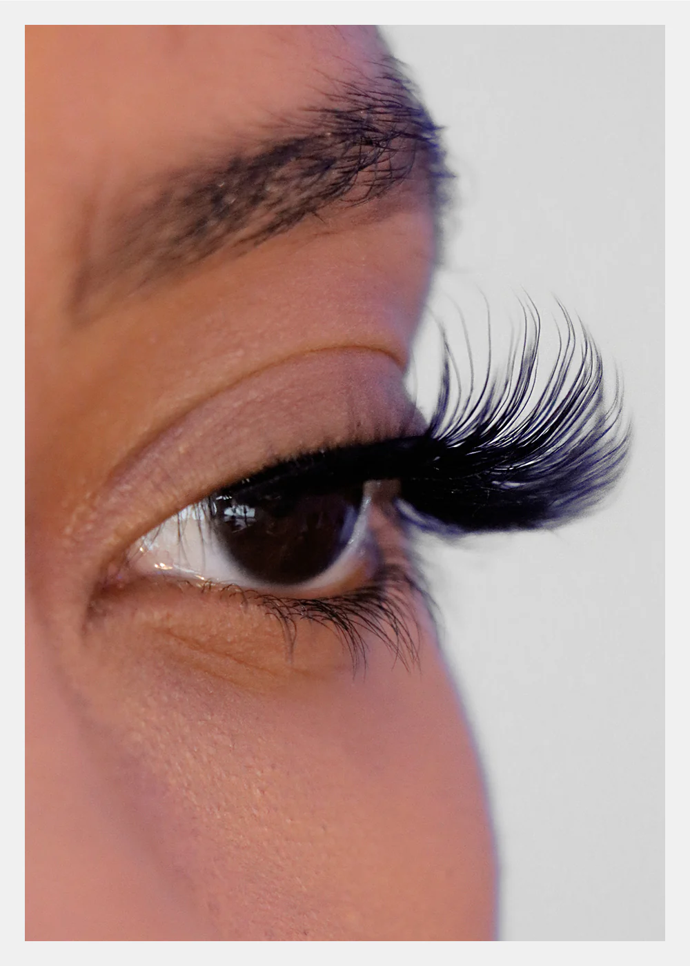 D-LUX Curl Premium Faux Mink Lashes - Josephine - Image 3