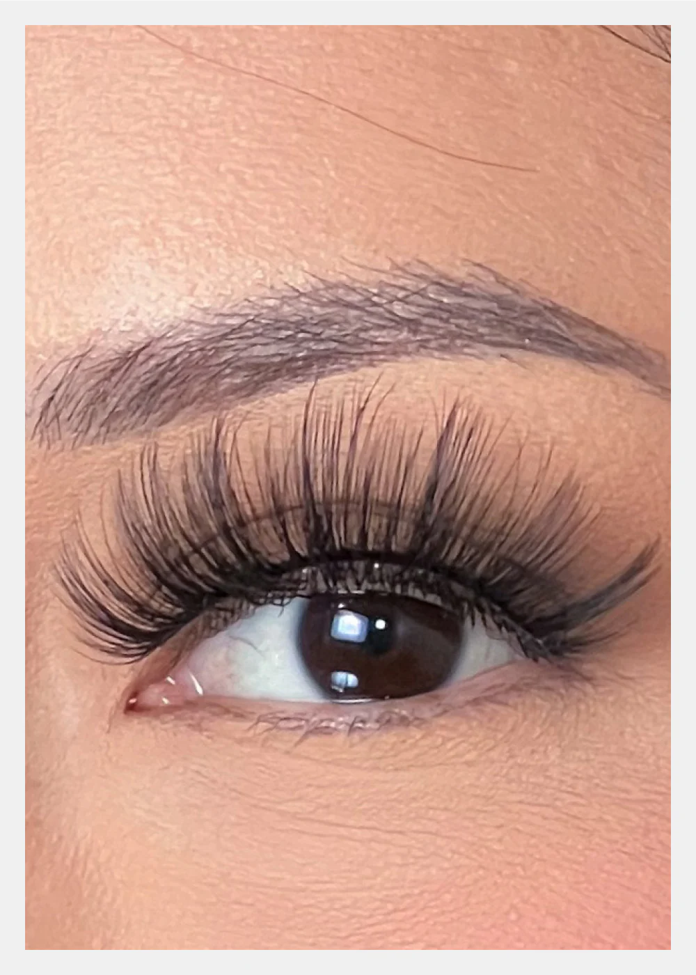 D-LUX Curl Premium Faux Mink Lashes - Lana - Image 2