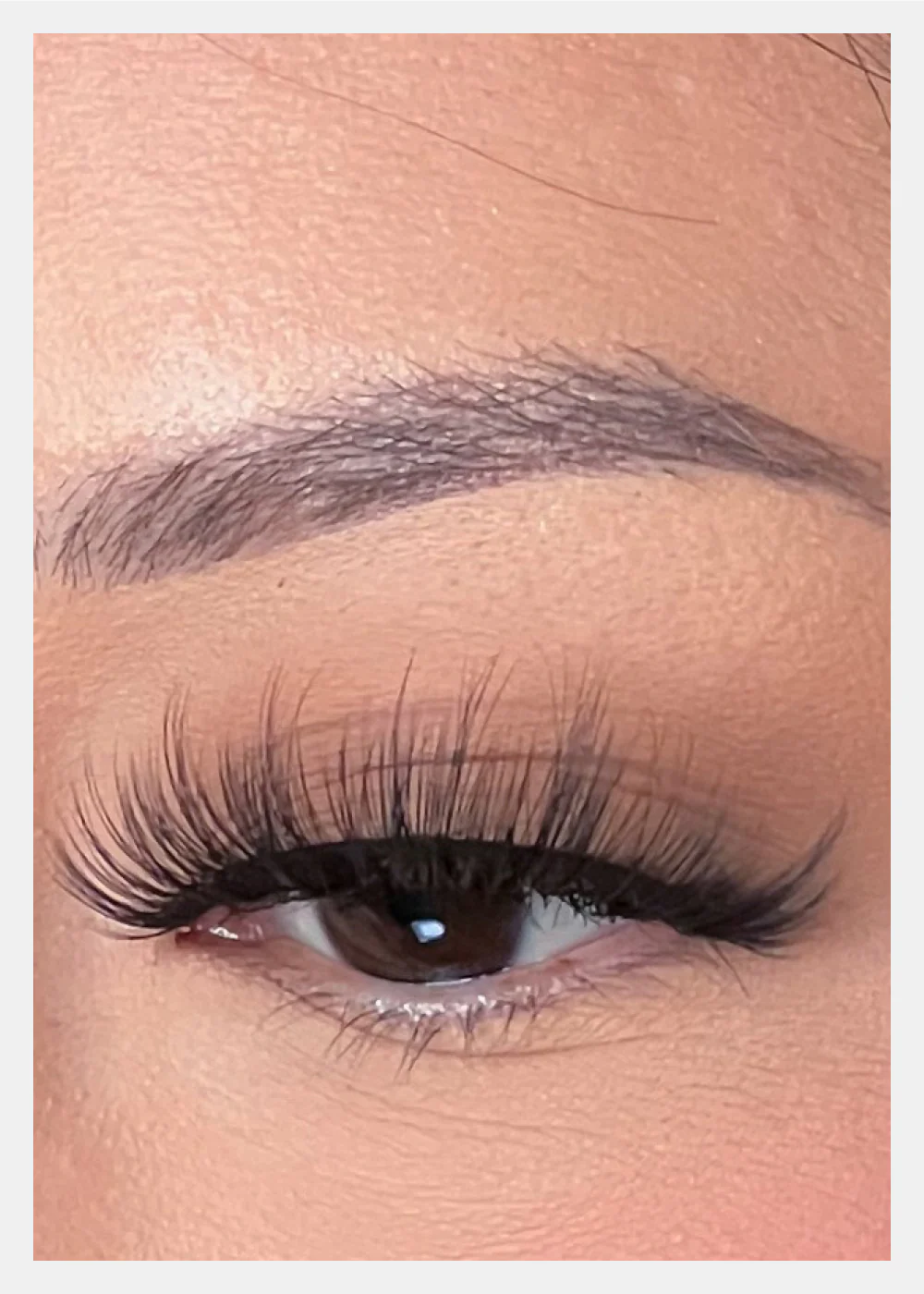 D-LUX Curl Premium Faux Mink Lashes - Lana - Image 3