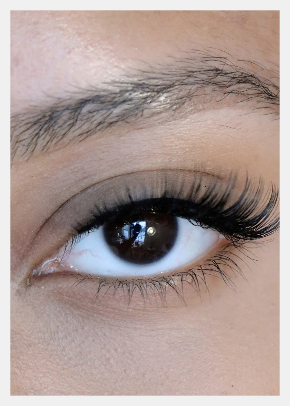 D-LUX Curl Premium Faux Mink Lashes - Lucille - Image 2