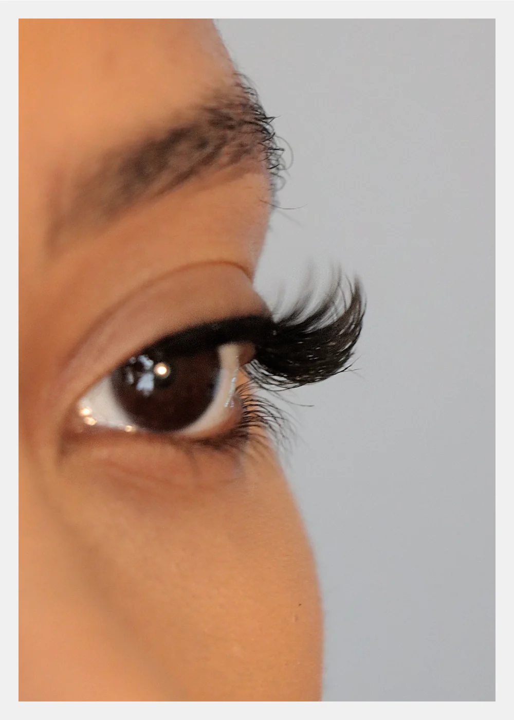 D-LUX Curl Premium Faux Mink Lashes - Lucille - Image 3