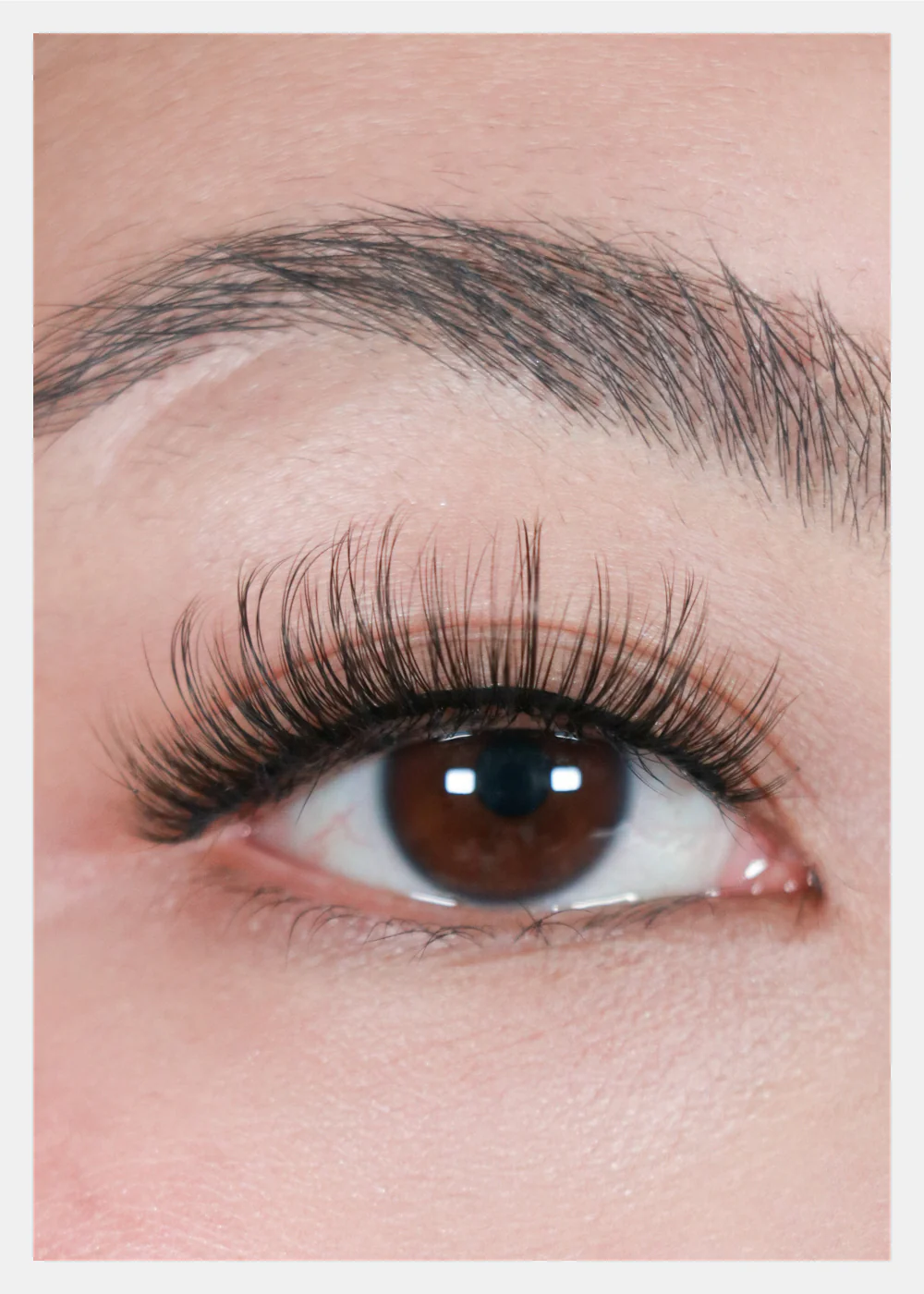D-LUX Curl Premium Faux Mink Lashes - Mae - Image 2