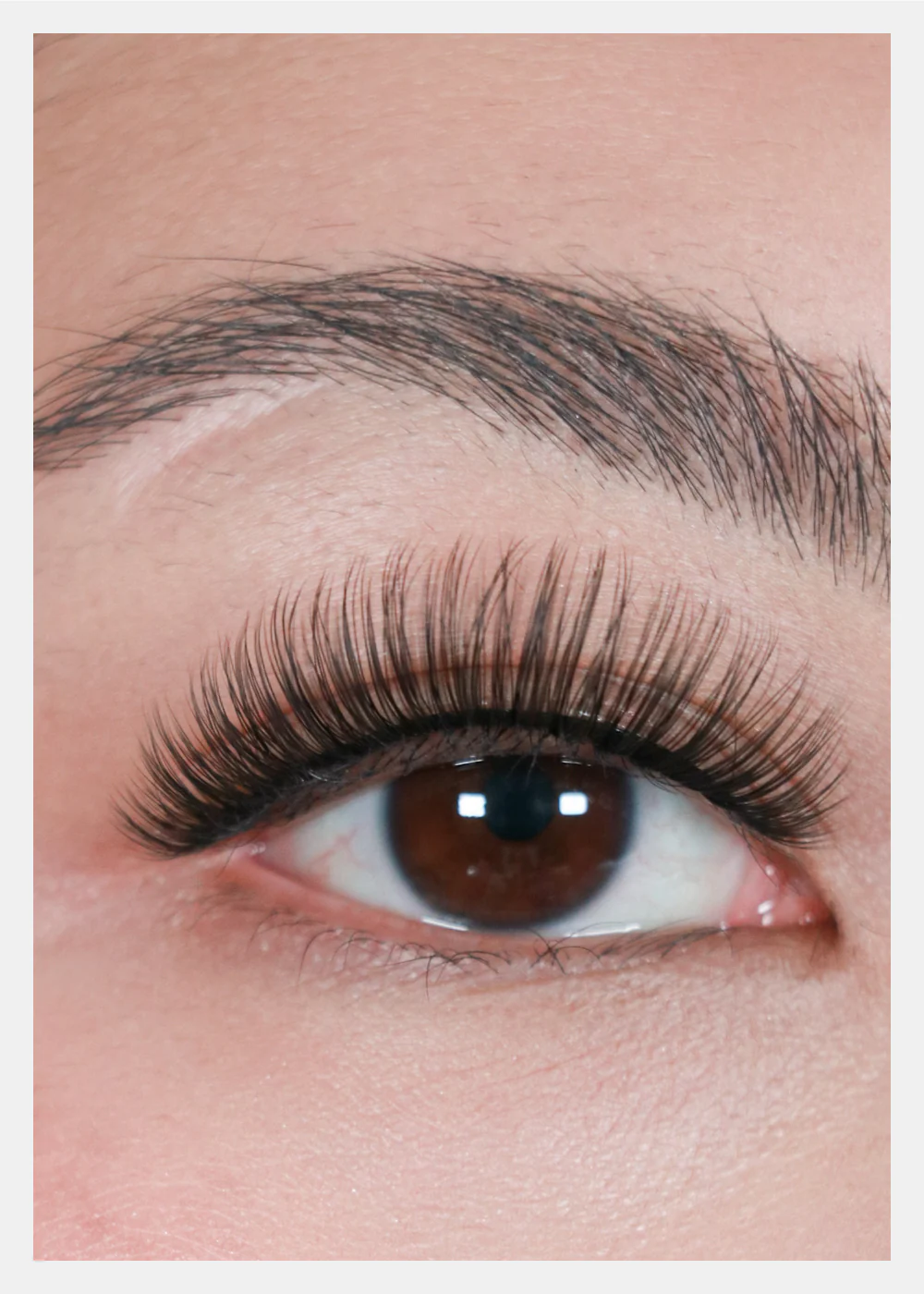 D-LUX Curl Premium Faux Mink Lashes - Sophia - Image 2