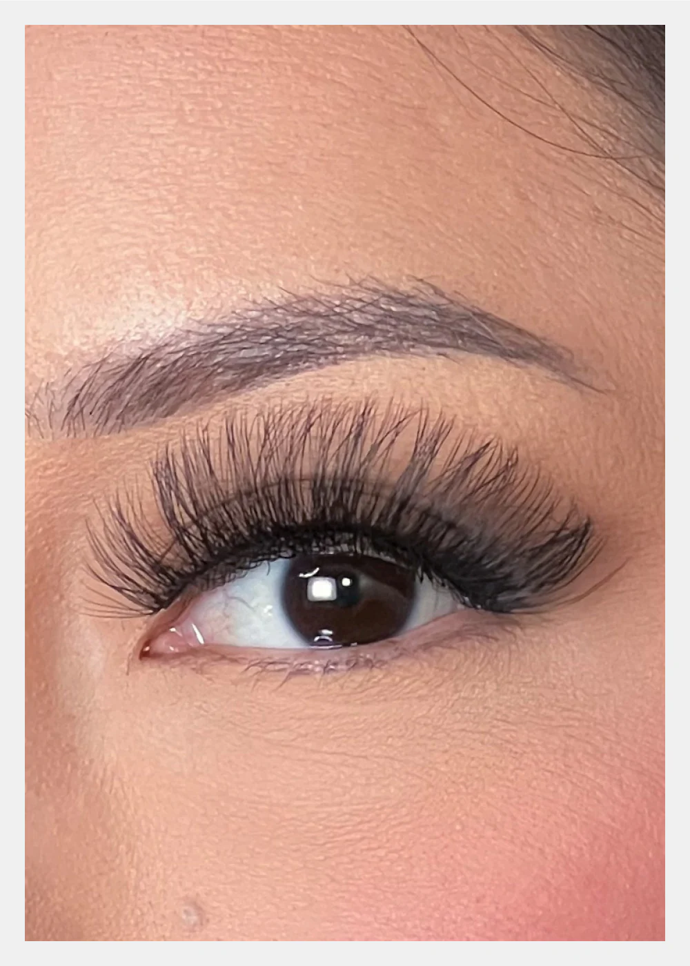 D-LUX Curl Premium Faux Mink Lashes - Vivien - Image 2
