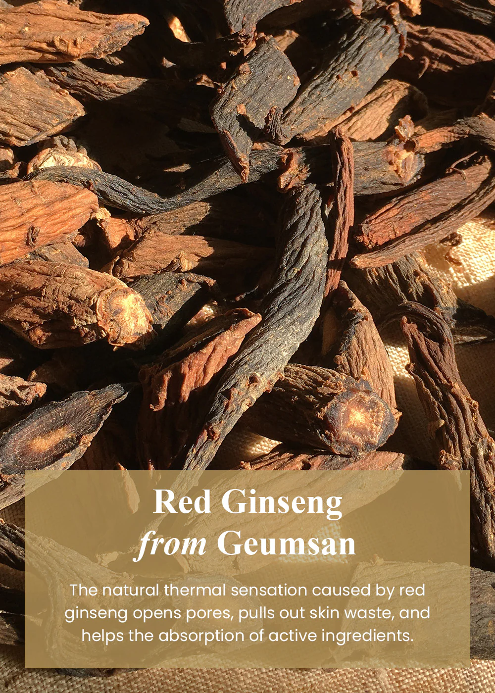 I’m from Ginseng Serum 30ml - Image 2