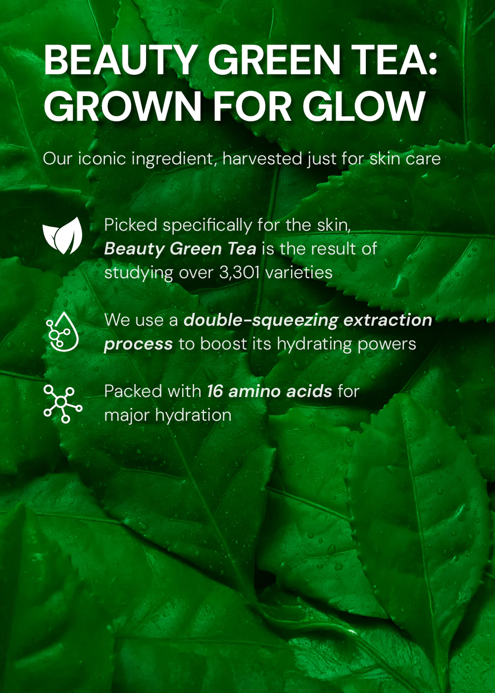 INNISFREE Green Tea Seed Hyaluronic Acid Cream 50ml - Image 6