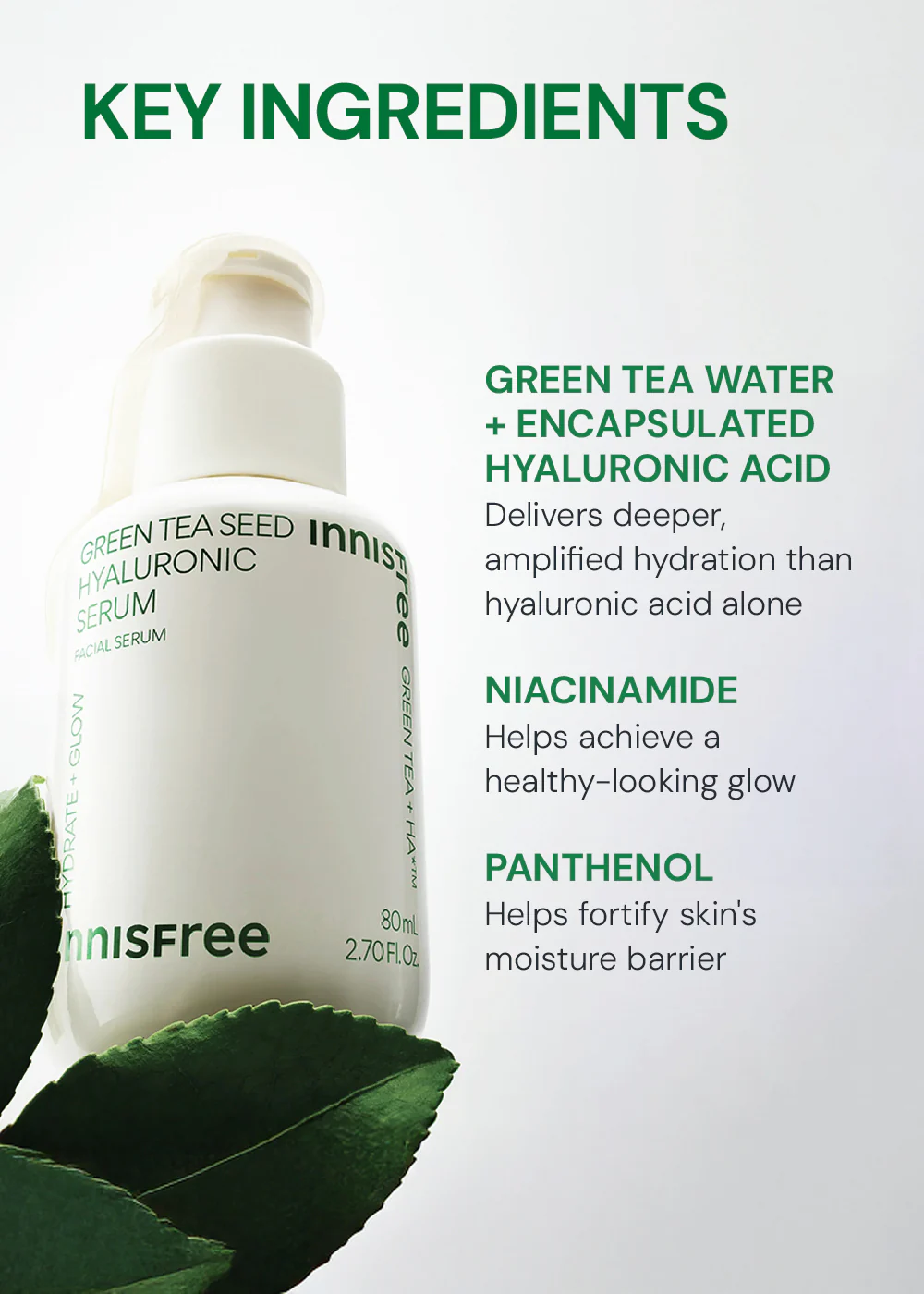 INNISFREE Green Tea Seed Hyaluronic Acid Serum 80ml - Image 5
