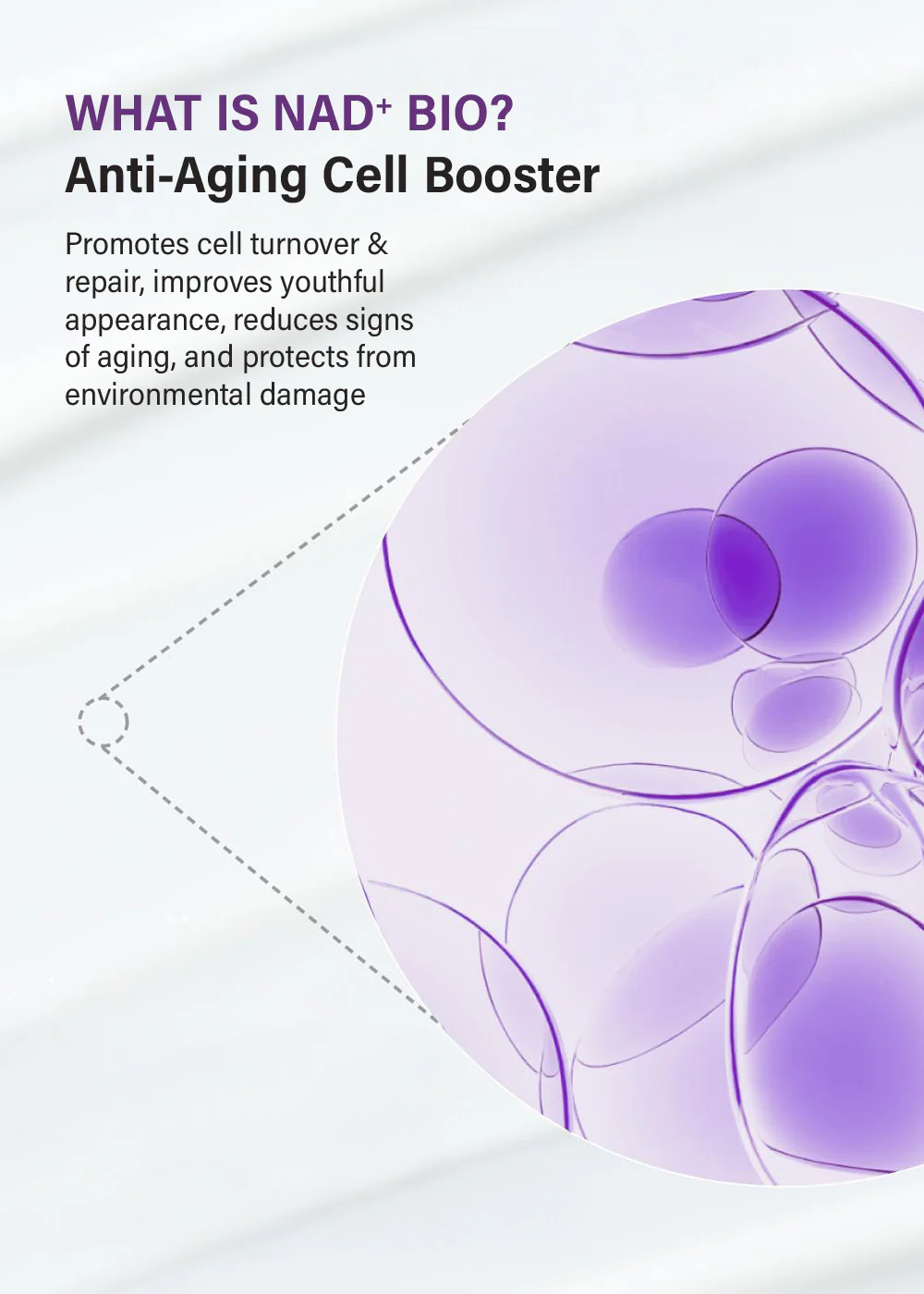 numbuzin No. 9 NAD Bio Lifting Essence 50ml - Image 2