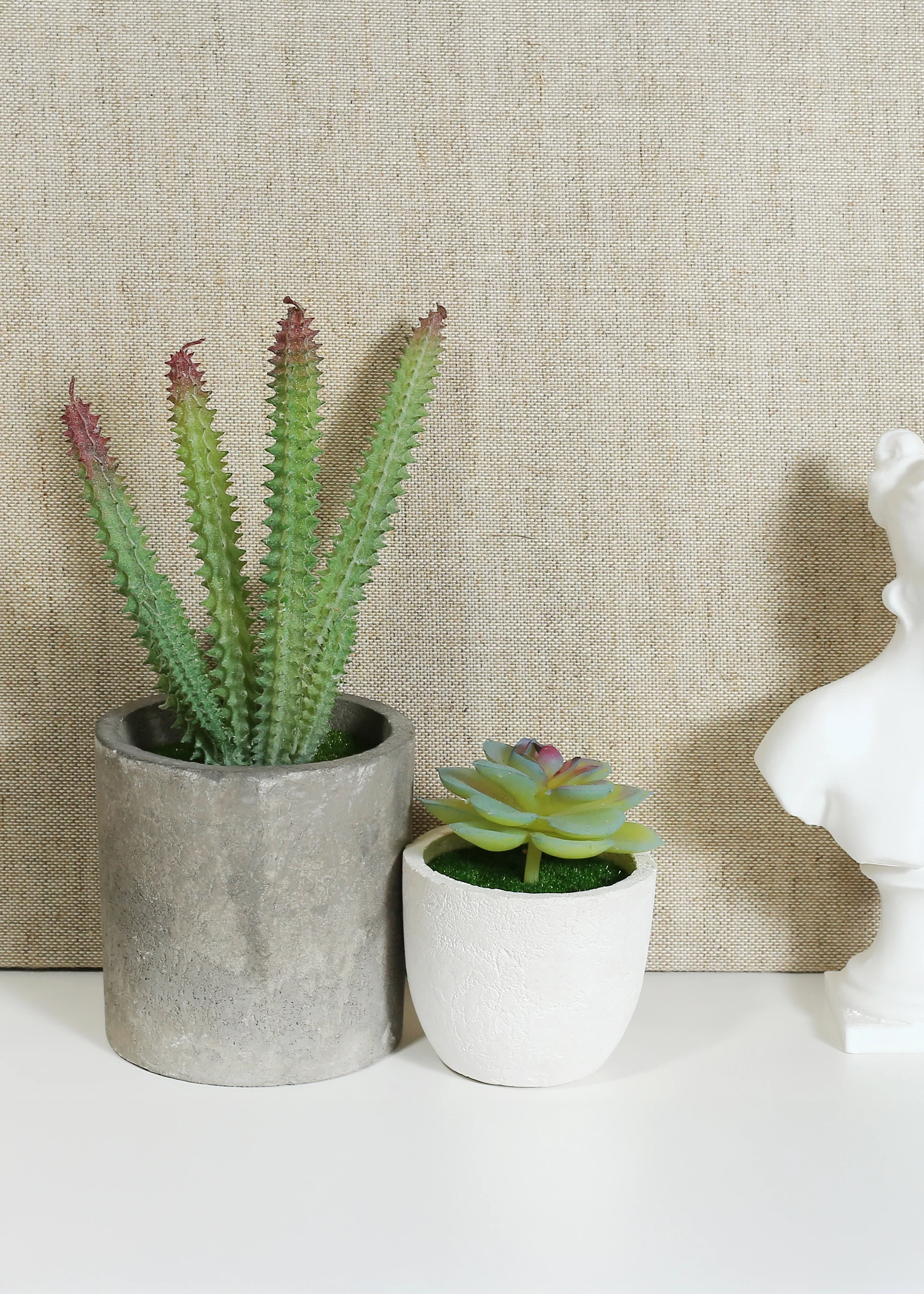 Official Key Items Artificial Succulents - Green Dudleya - Image 3