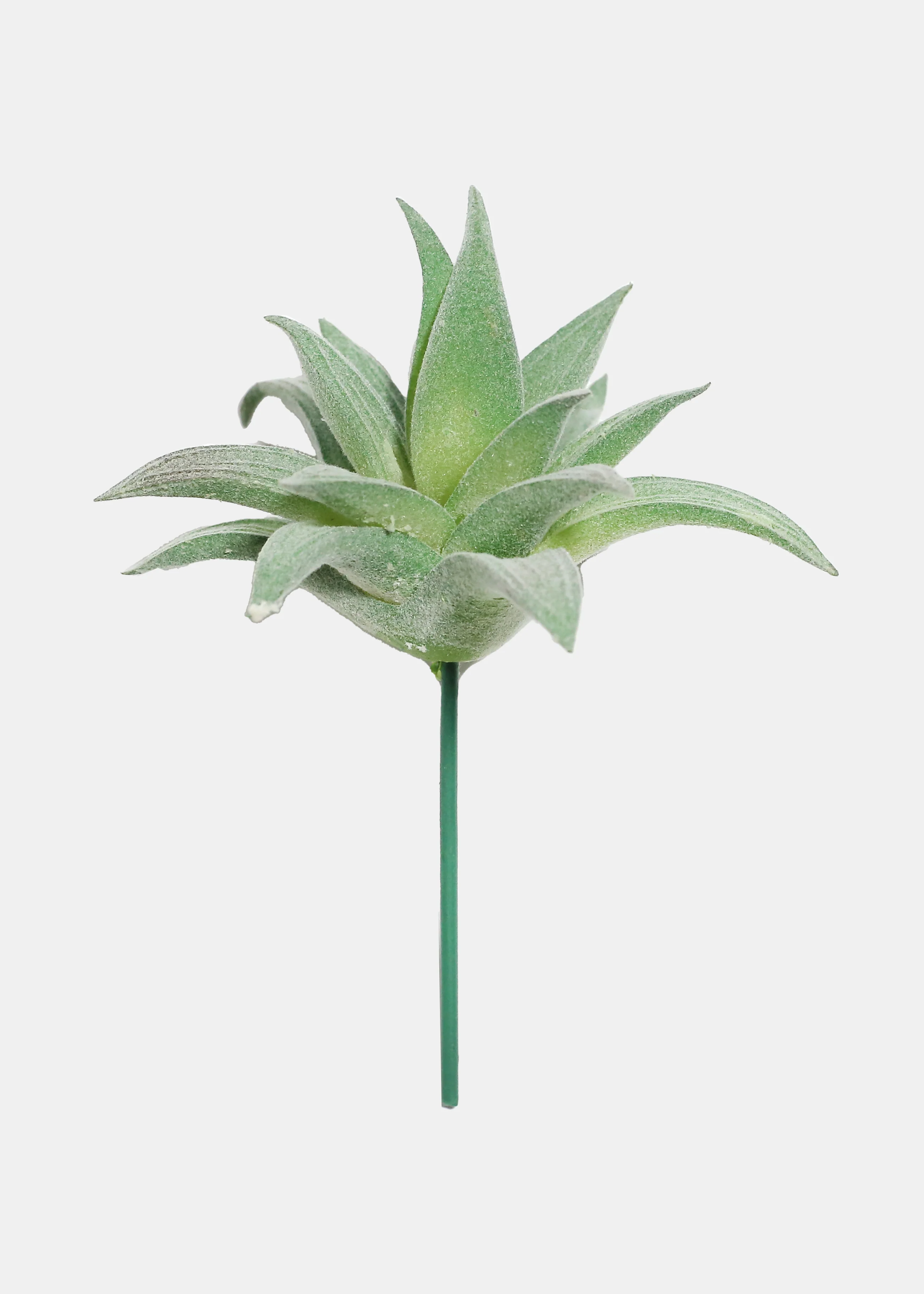 Official Key Items Artificial Succulents - Green Small Mouth Aloe - Image 2