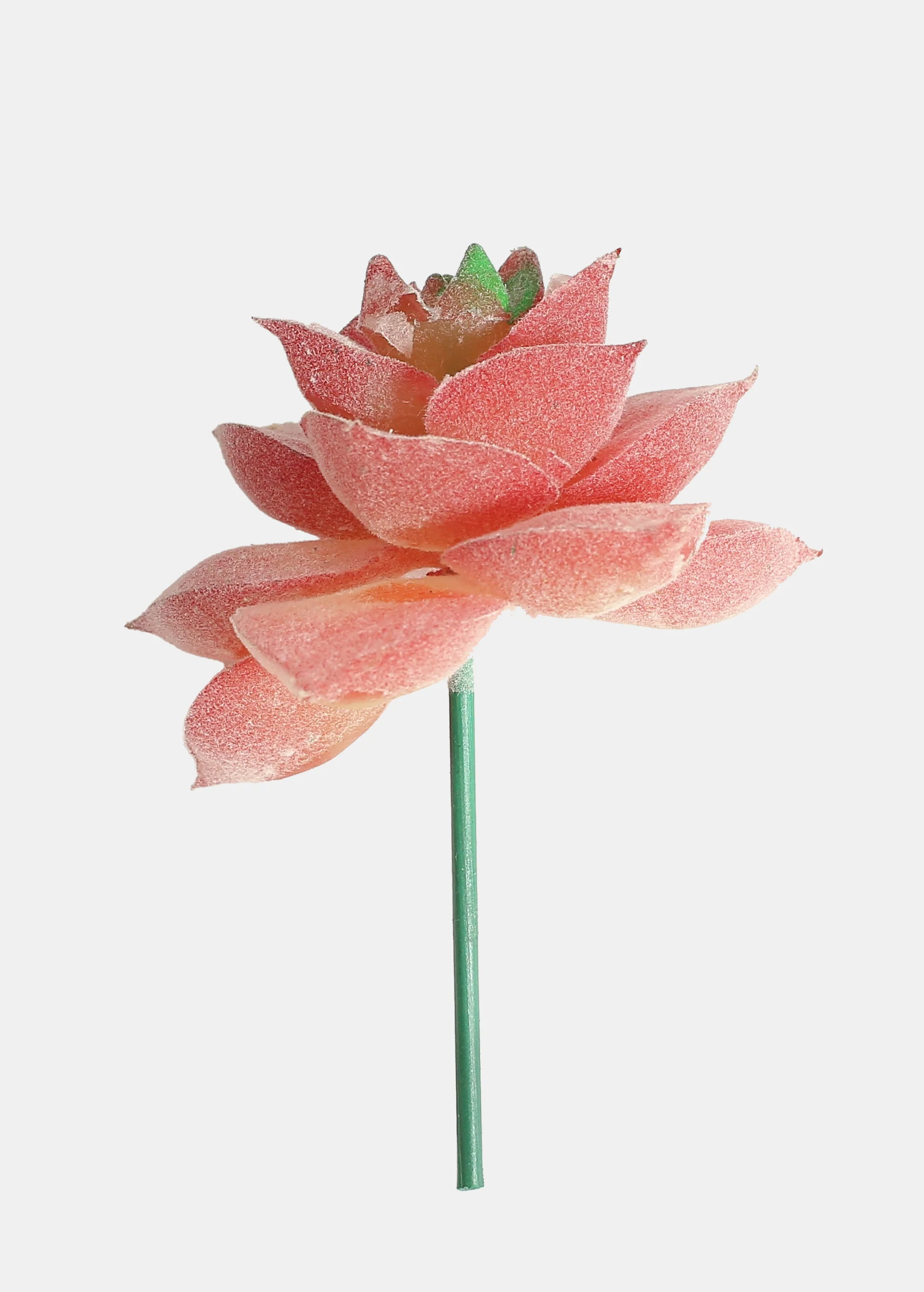 Official Key Items Artificial Succulents - Pink Echeveria Purpusorum - Image 2