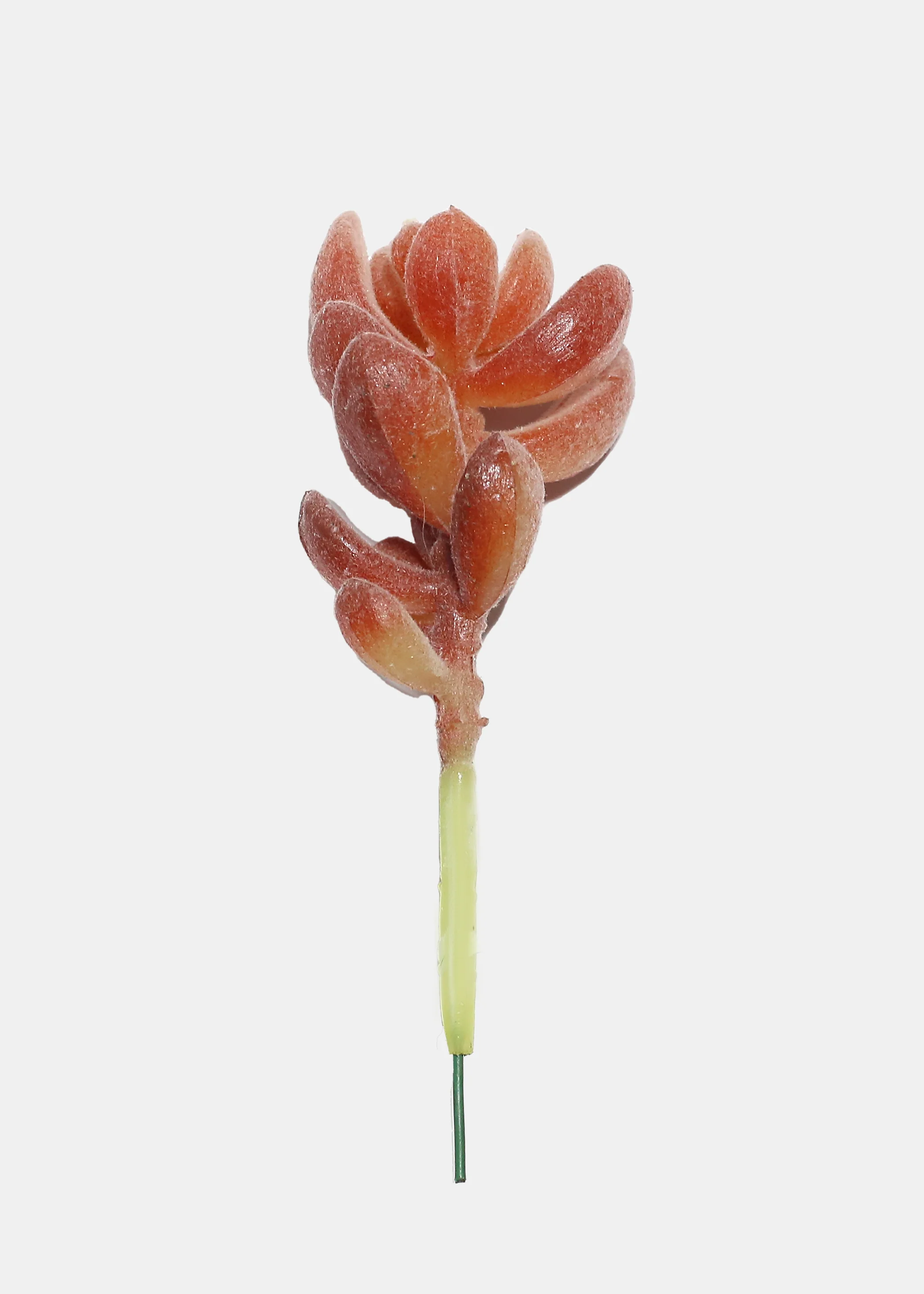 Official Key Items Artificial Succulents - Pink Indian Sedum - Image 2