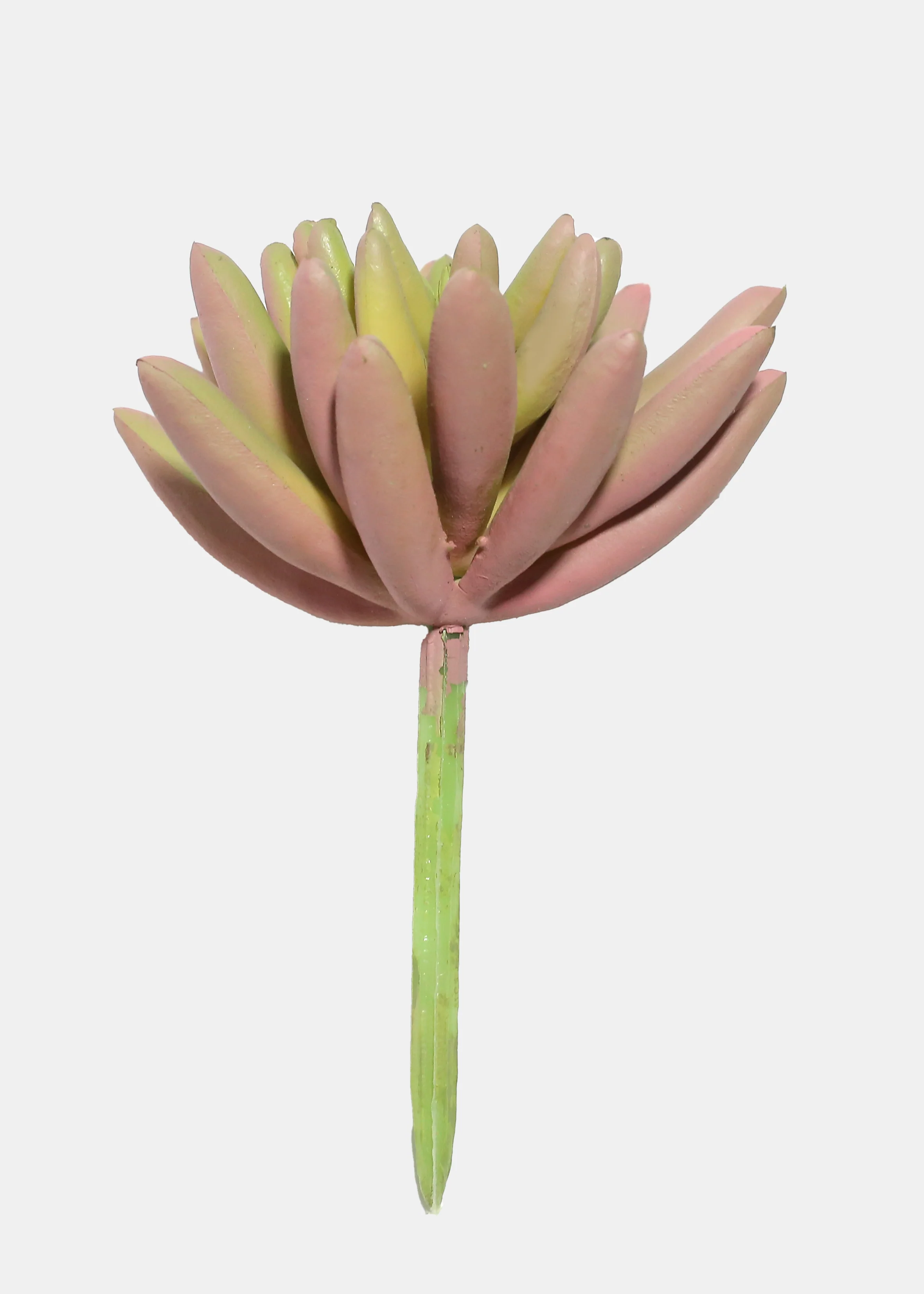 Official Key Items Artificial Succulents - Pink Spike Rosette - Image 2