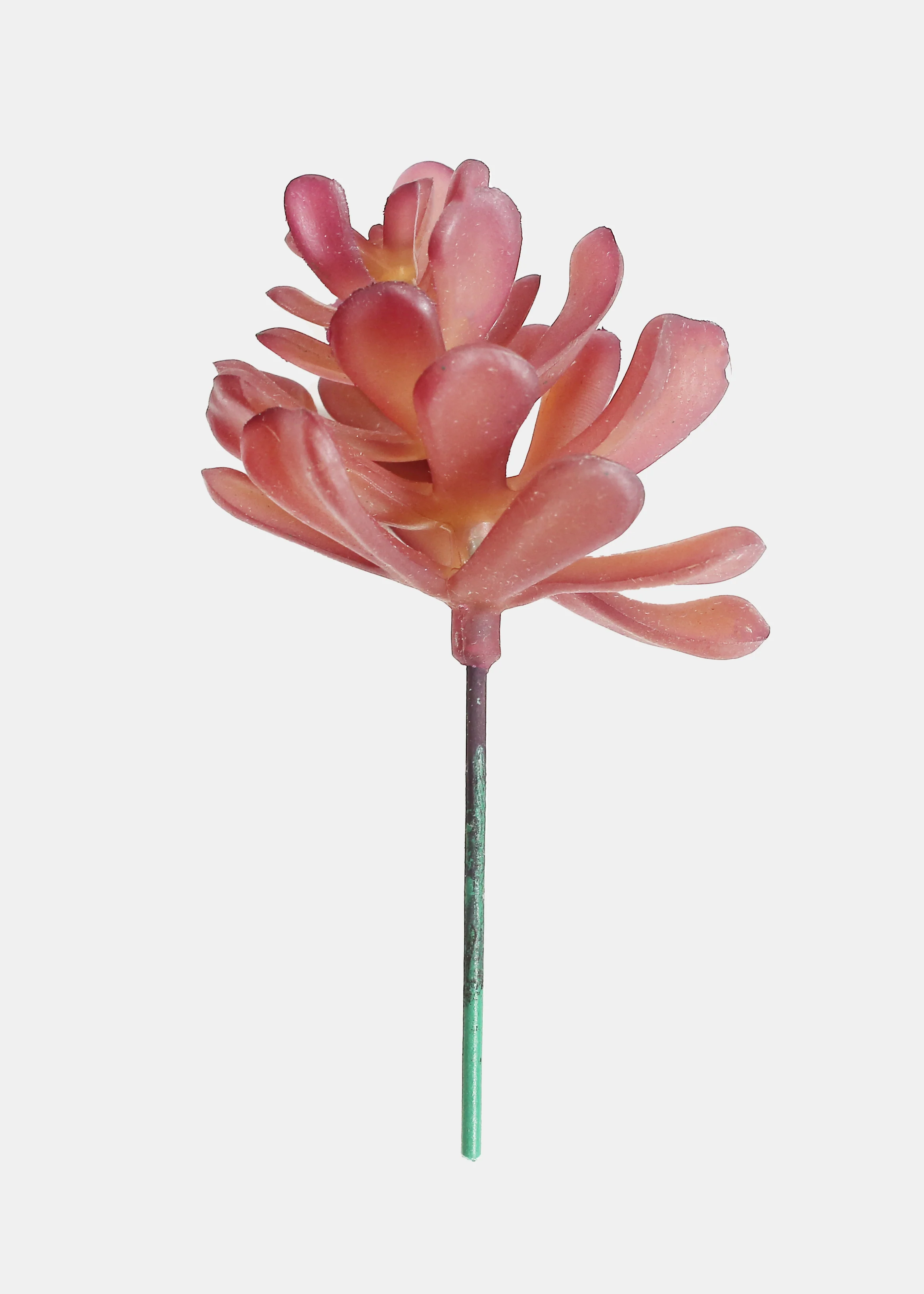 Official Key Items Artificial Succulents - Purple Echeveria Peacockii - Image 2