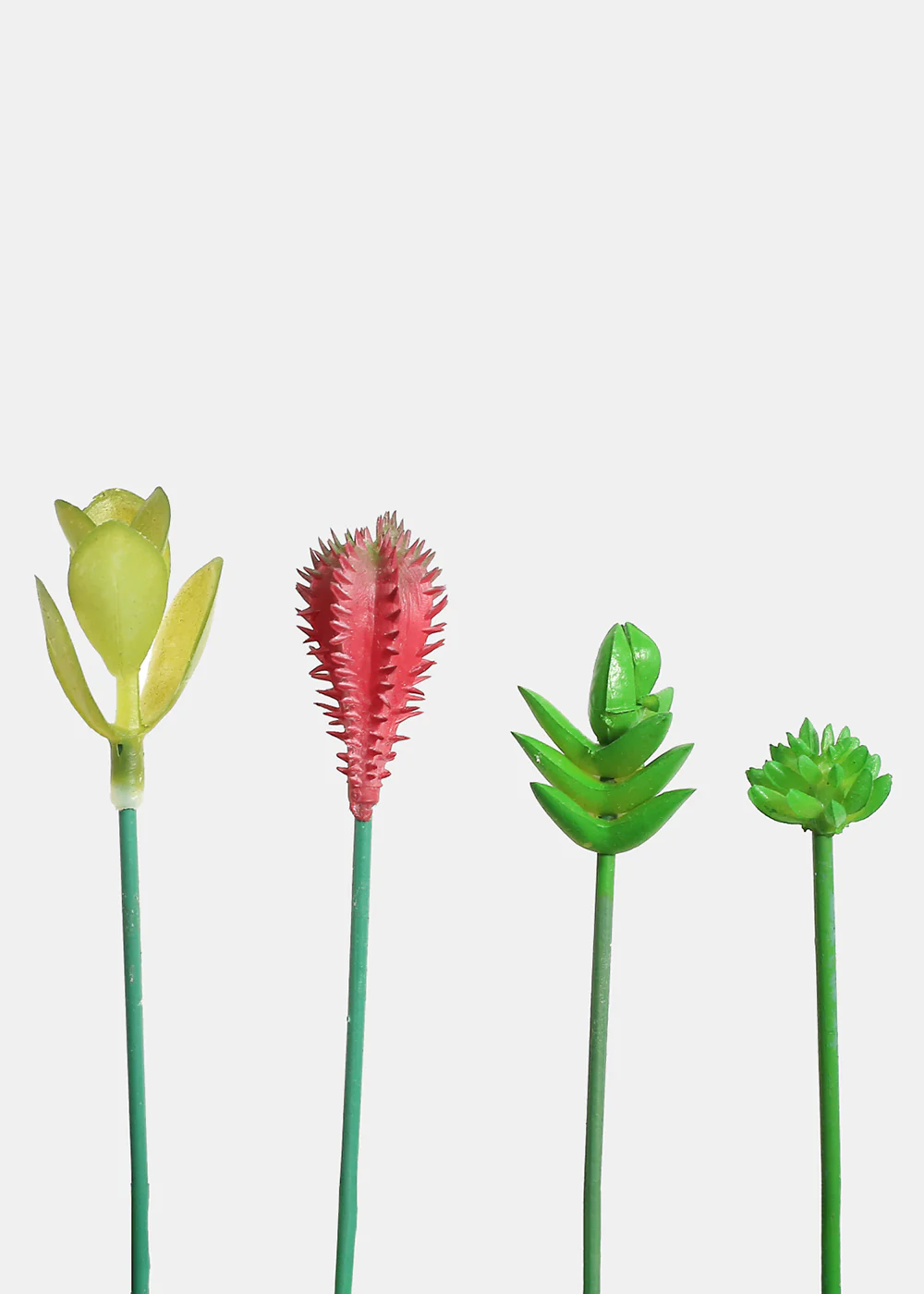 Official Key Items Small Succulents