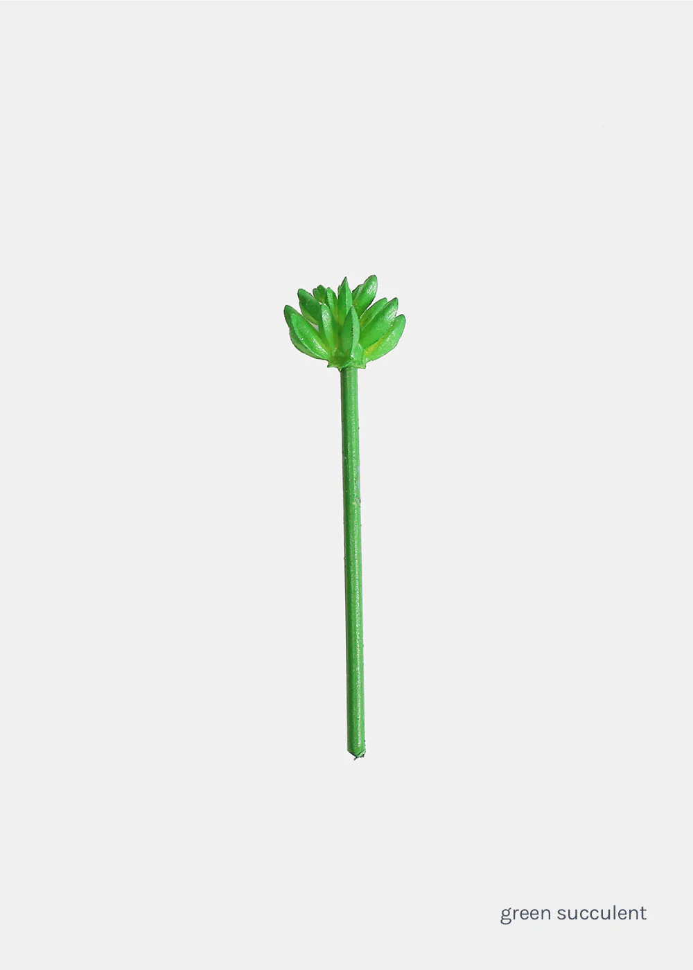 Official Key Items Small Succulents - Image 6
