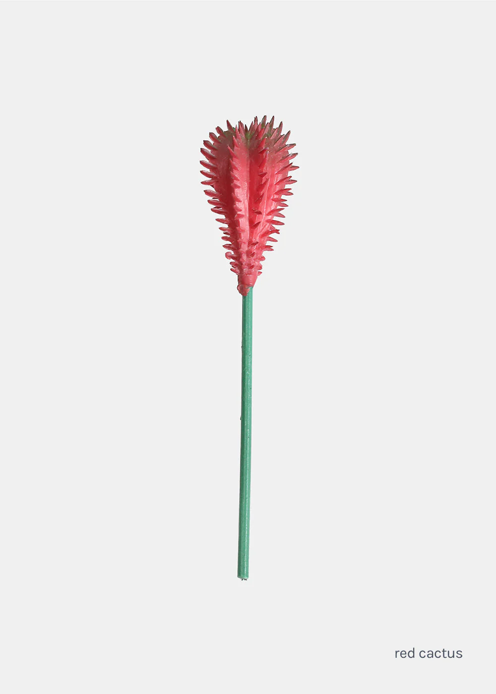 Official Key Items Small Succulents - Image 8