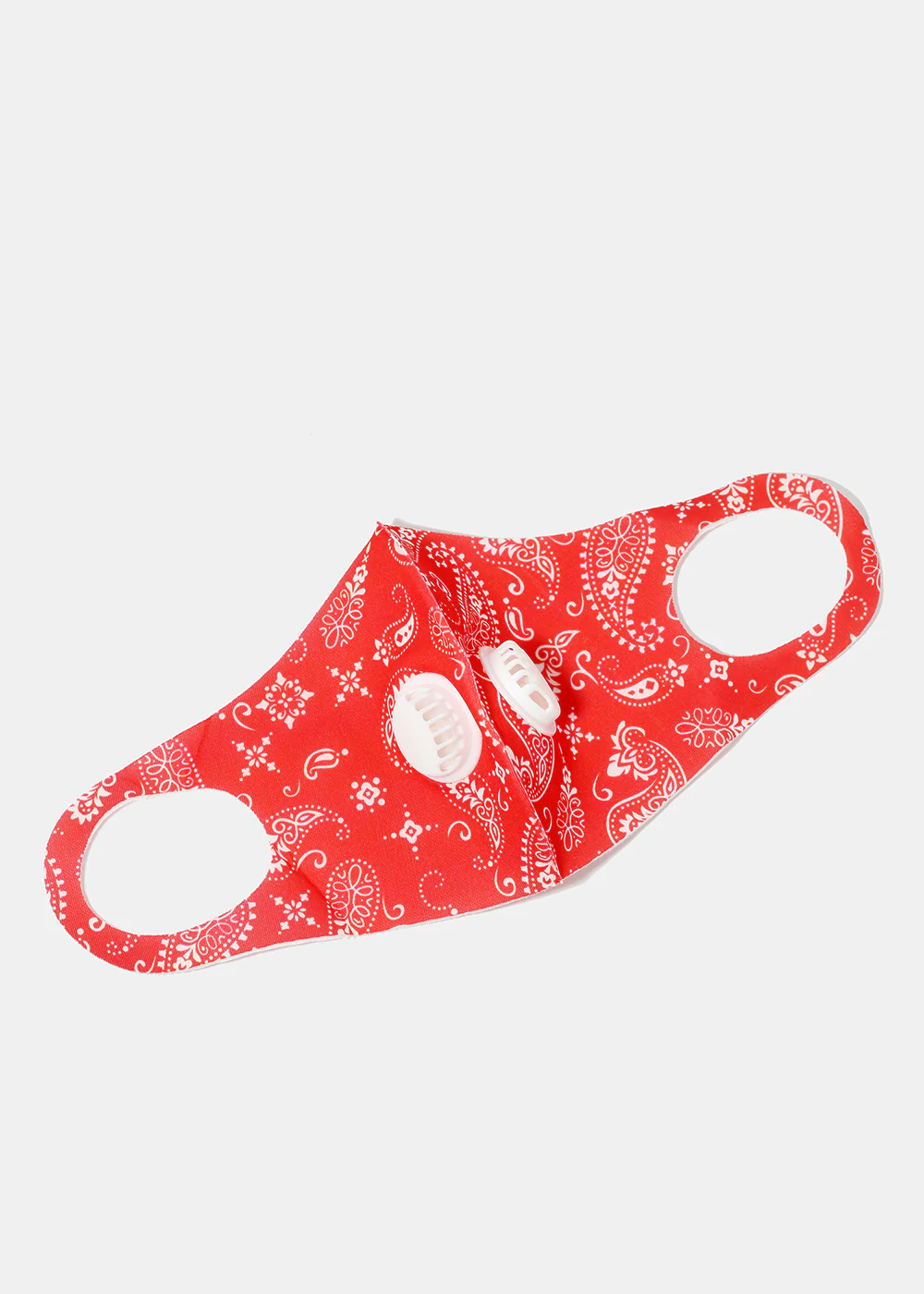 Paisley Print Face Mask with Double Dust Filter - Image 2
