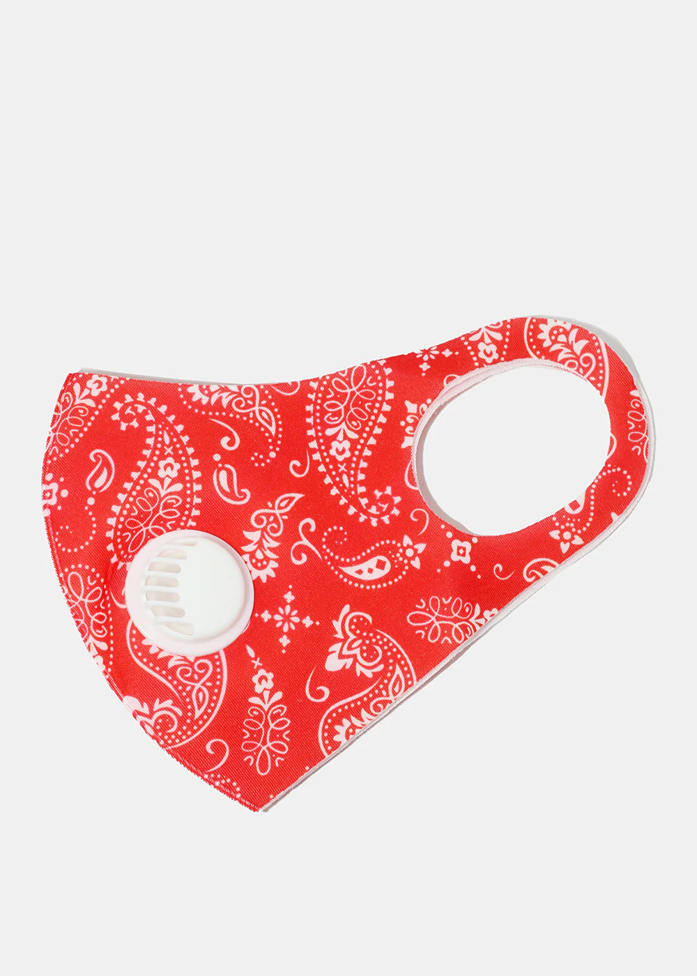 Paisley Print Face Mask with Double Dust Filter - Image 4