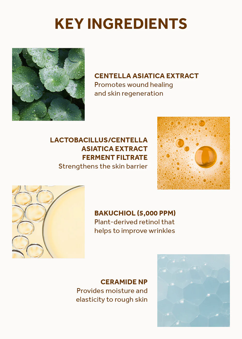 SKIN1004 Madagascar Centella Probio-Cica Bakuchiol Eye Cream 20ml - Image 5