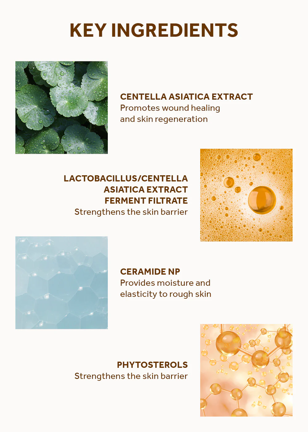 SKIN1004 Madagascar Centella Probio-Cica Enrich Cream 50ml - Image 5
