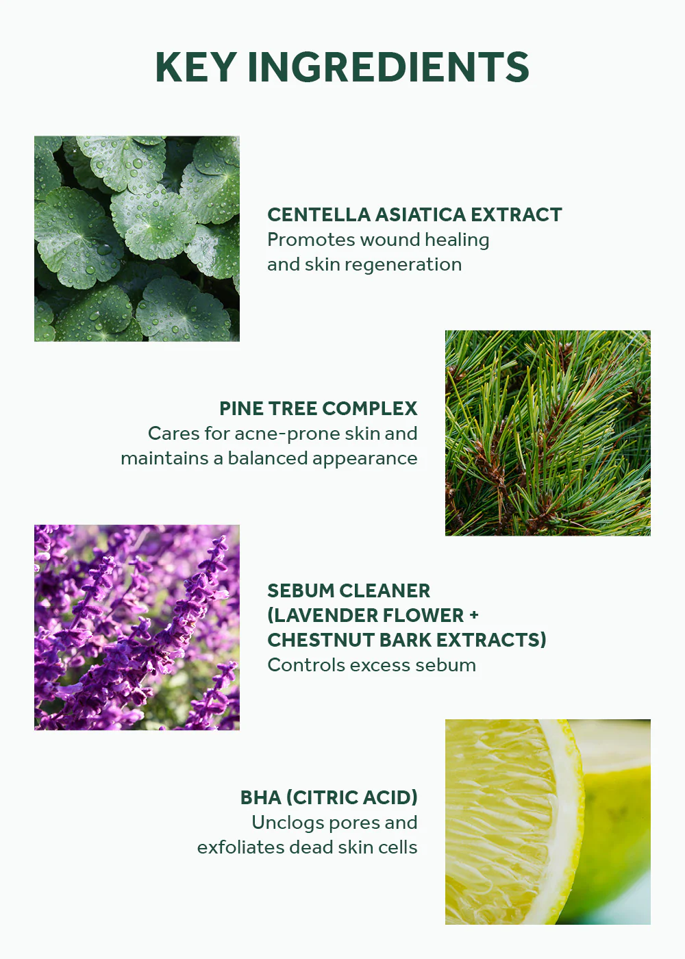 SKIN1004 Madagascar Centella Tea-Trica Purifying Toner 210ml - Image 5