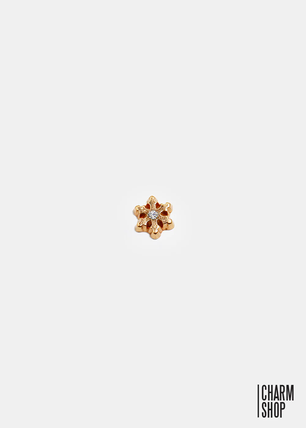 Snow Flake Locket Charm
